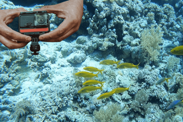 Welche Gopro Ist Am Besten Zum Tauchen tauchliebe.de