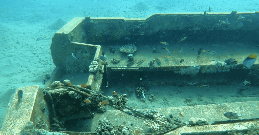 unterwasseraufnahme eines wracks auf sandigem Untergrund mti der DJI Osmo Action 6