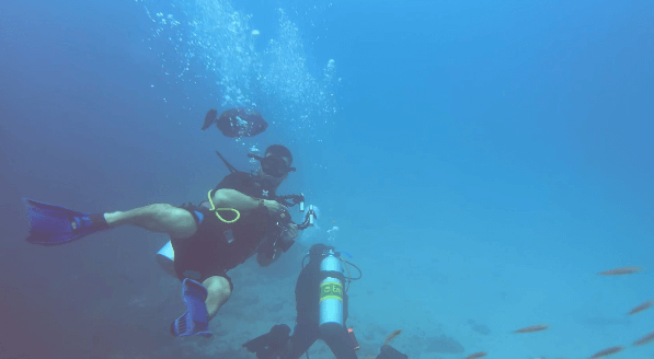 Taucher testet eine Unterwasserkamera mit Gehäuse und Lampen Unterwasser neben einem Fisch
