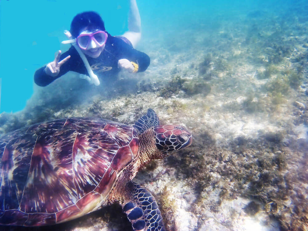 Frau schnorchelt mit Schildkröte am Hausriff in Dumaguete