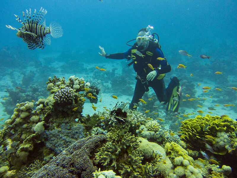 Taucher mit zwei Feuerfischen an einem Riff in Dahab