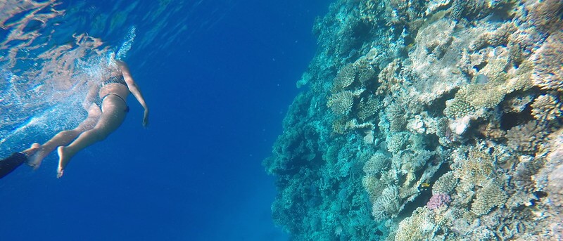 Schnorchlerin neben einem Hausriff in Hurghada