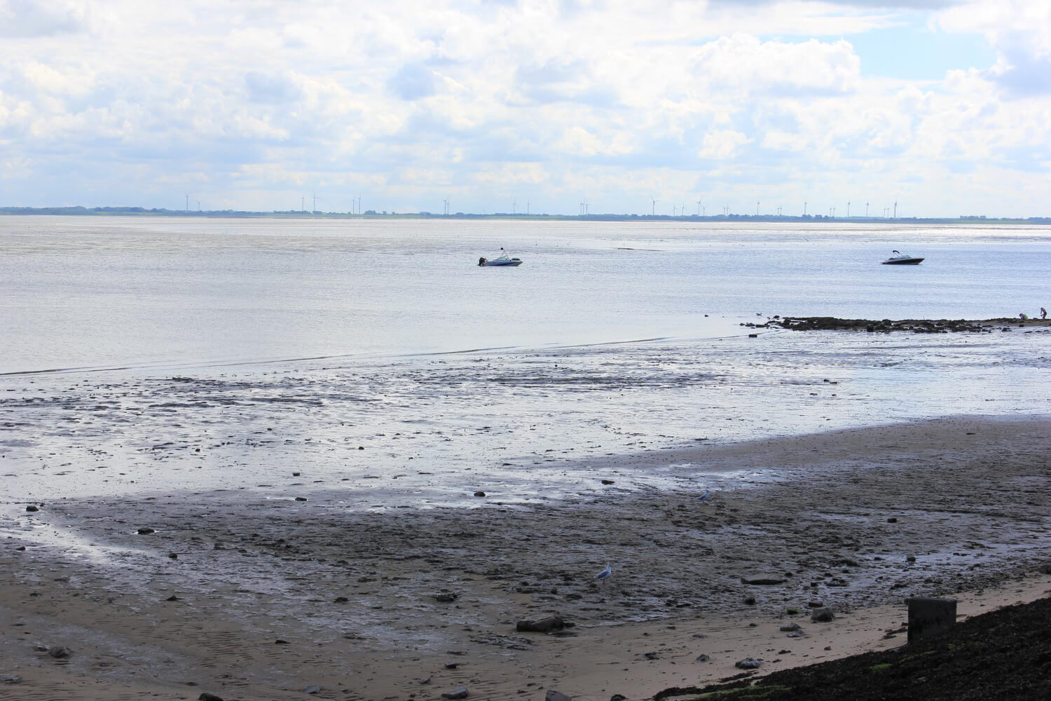 Nordsee mit gefährlichen Fischen und bewölktem Horizont