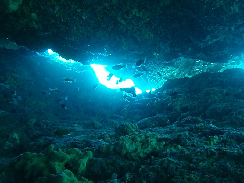 Kleine Fische tummeln sich in einer Felsenspalte vor der Küste von Zakynthos.
