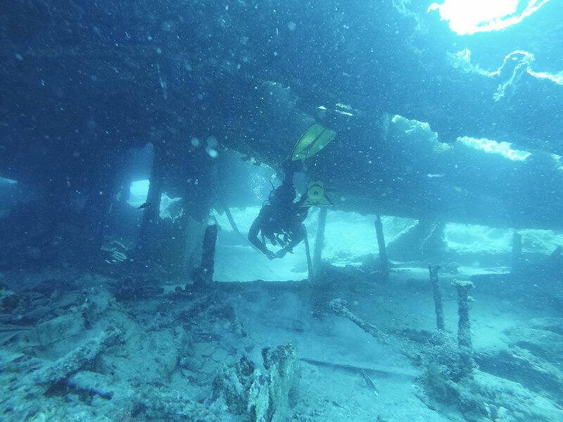 Ein Taucher erkundet das Innere des Wracks der HMS Maori in flacher Tiefe.