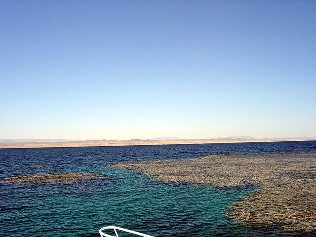 Elphinstone Reef an der Oberfläche des roten Meeres