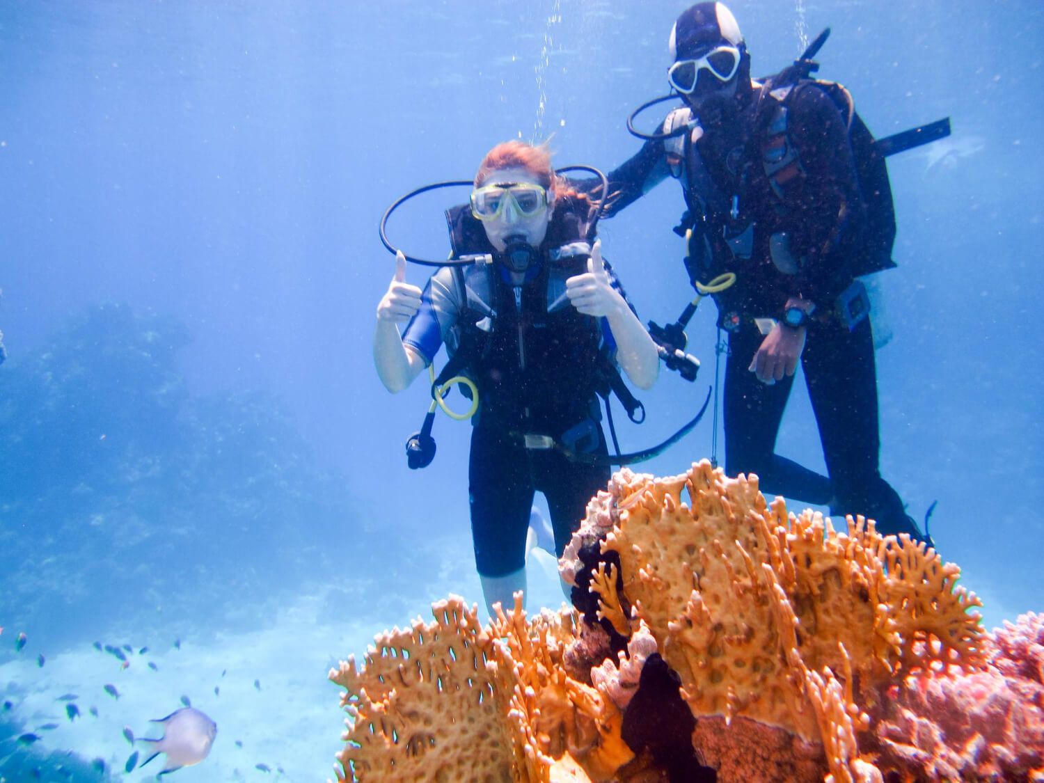 Zwei Taucher testen Ihre Tarierjackets über dem Meeresboden