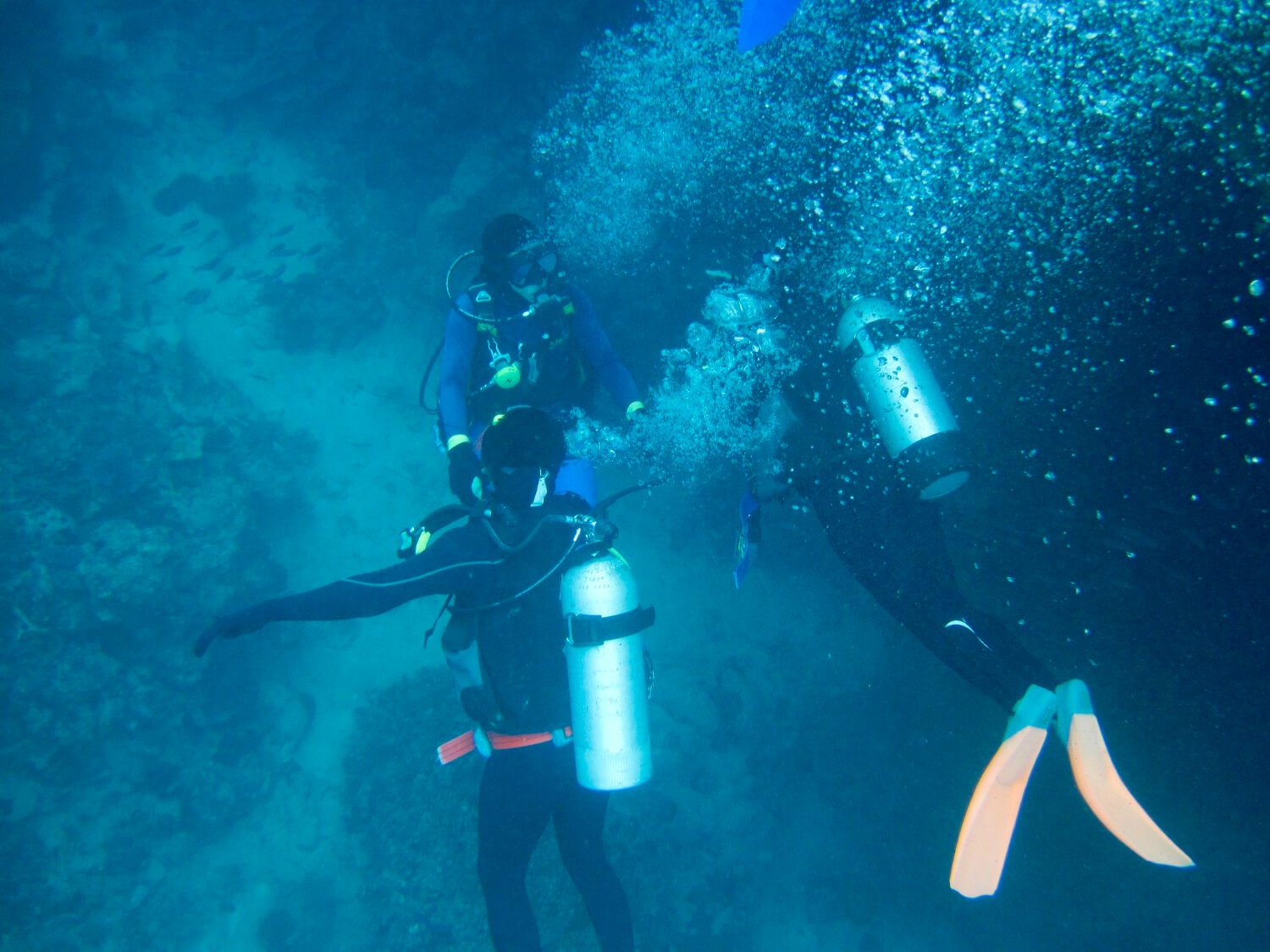 Mehrere Taucher befestigen sich mit Riffhaken an einem Felsen