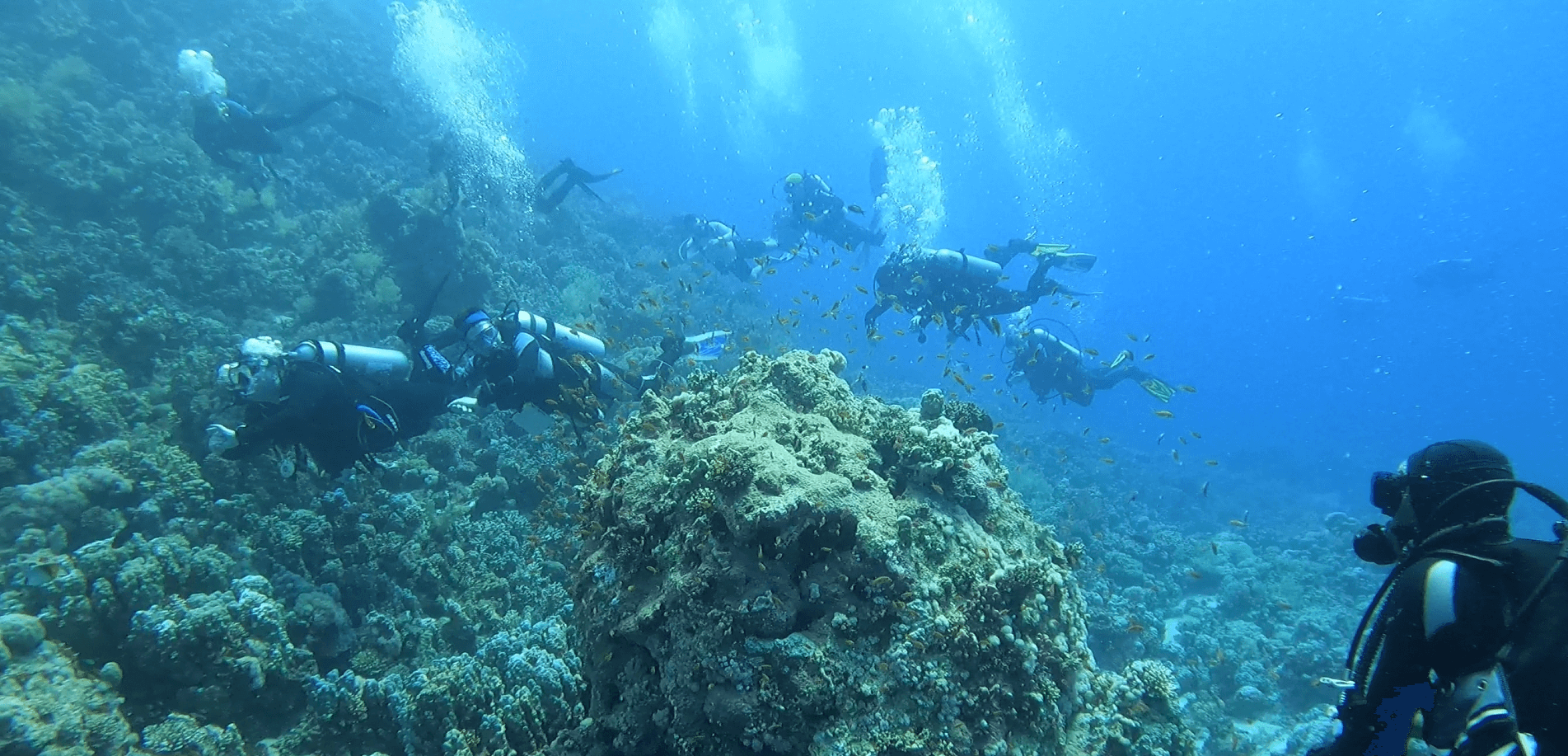 Mehrere Anfänger tauchen in einer Gruppe in Ägypten