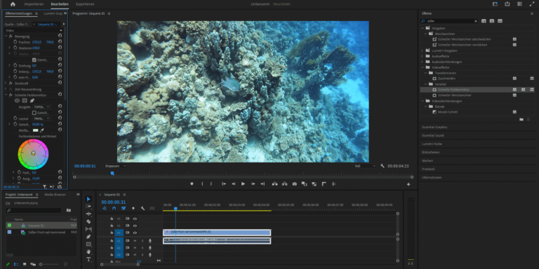 Welche GoPro eignet sich am besten zum Tauchen?