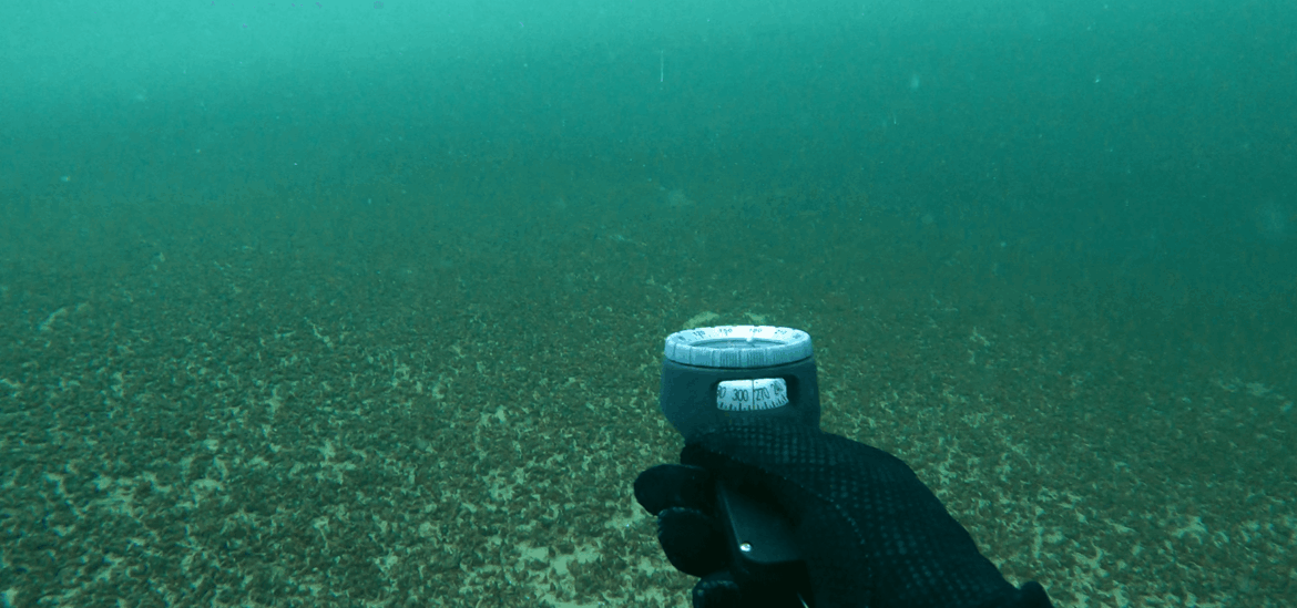 taucher mit neoprenhandschuh testet tauchkompass unterwasser