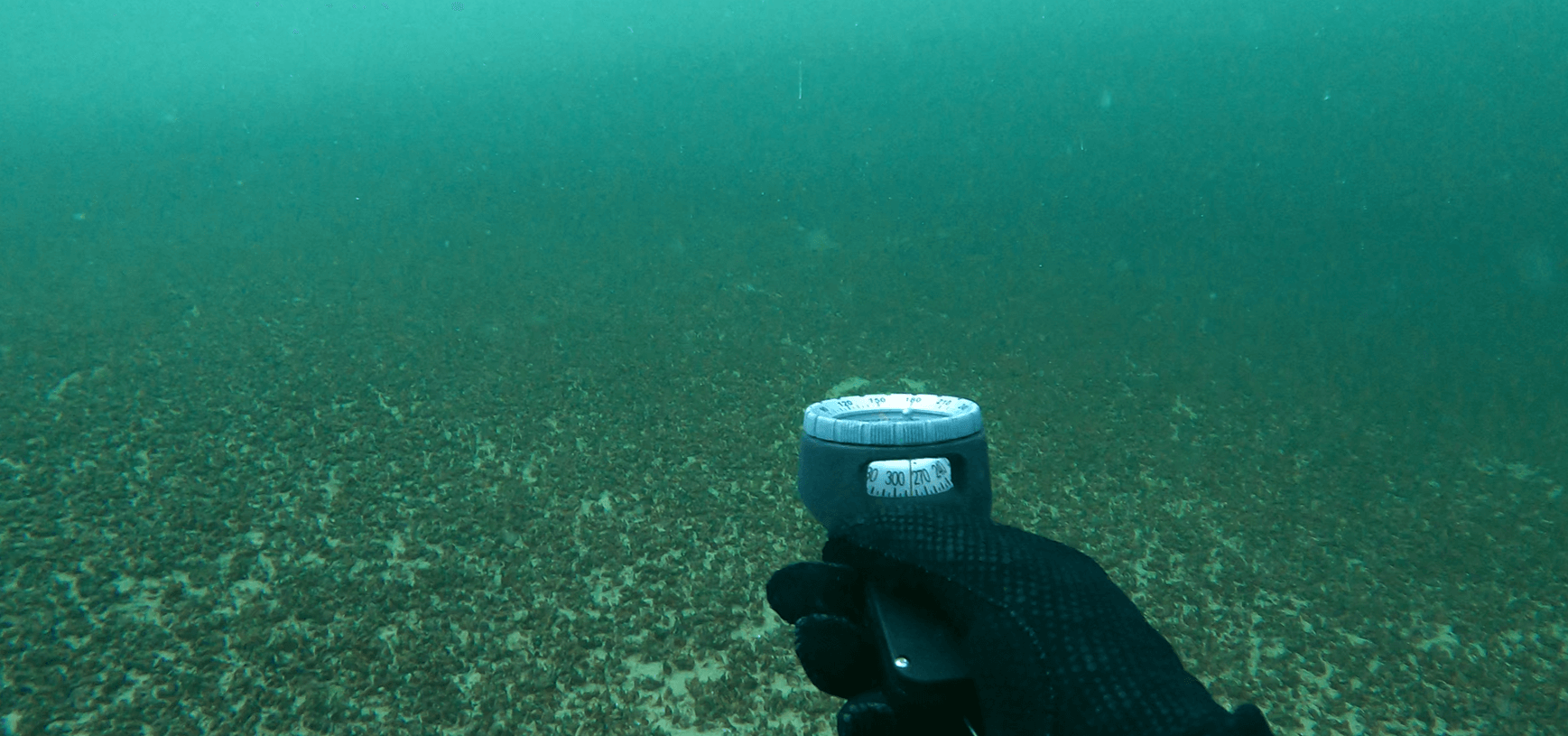 taucher mit neoprenhandschuh testet tauchkompass unterwasser
