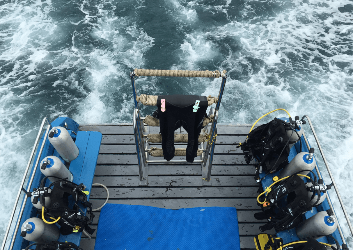 Tauchplattform eines Safari-Bootes mit Ausrüstung und Neoprenanzug – bereit für den nächsten Tauchgang während einer Tauchsafari für Anfänger.