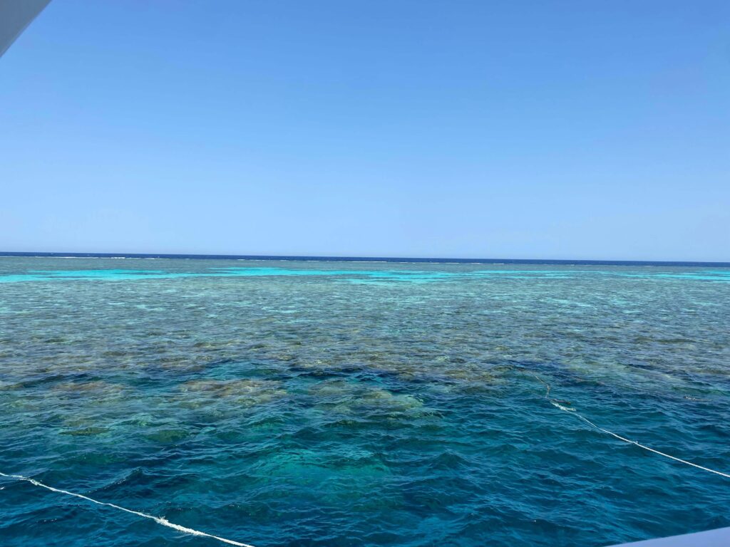 Panorama Reef von oben - türkis blaues Wasser und Korallenblöcke