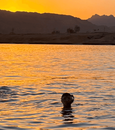 Schnorchler testet Schnorchel an der Oberfläche eines Hausriffs bei Sonnenuntergang in Ägypten