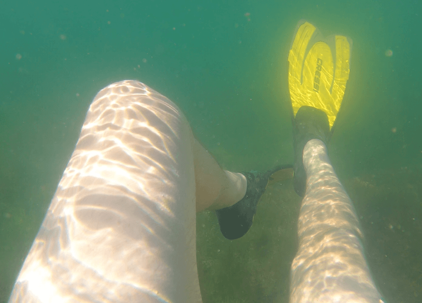 Cressi Agua Flossen beim Schnorcheln unter Wasser im Test