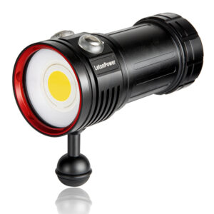 LetonPower sealion L12