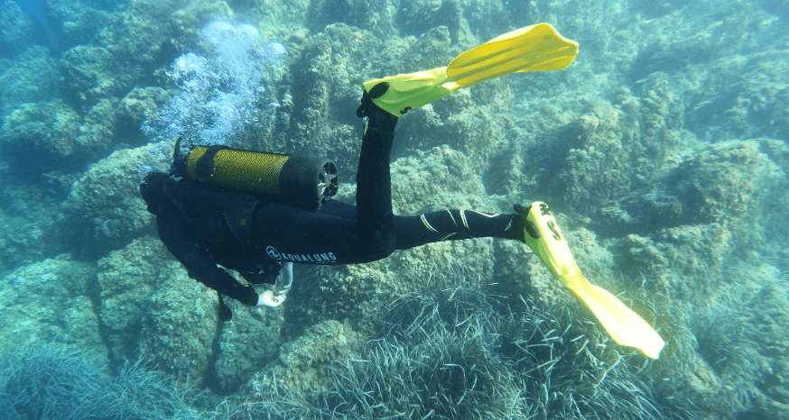 Scubapro Seawing Nova Flossenschläge Unterwasser im Test