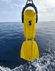 Scubapro Seawing Nova Flossen vor dem Meer gehalten