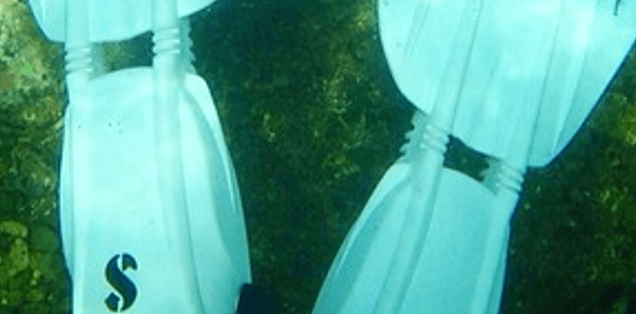 Altes Gelenk der Seawing Nova 1