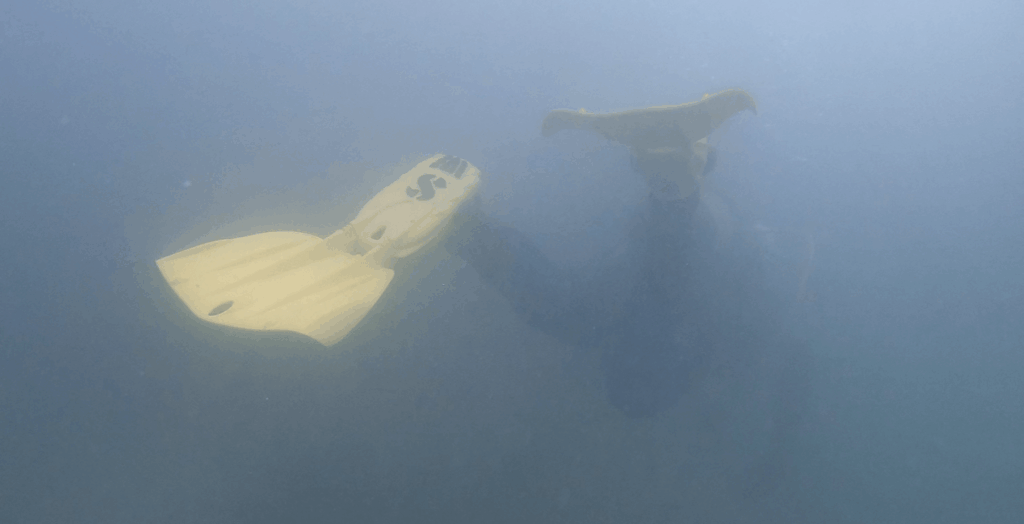 Scubapro Seawing Nova Unterwasser bei schlechter Sicht mit kräftiger Farbe