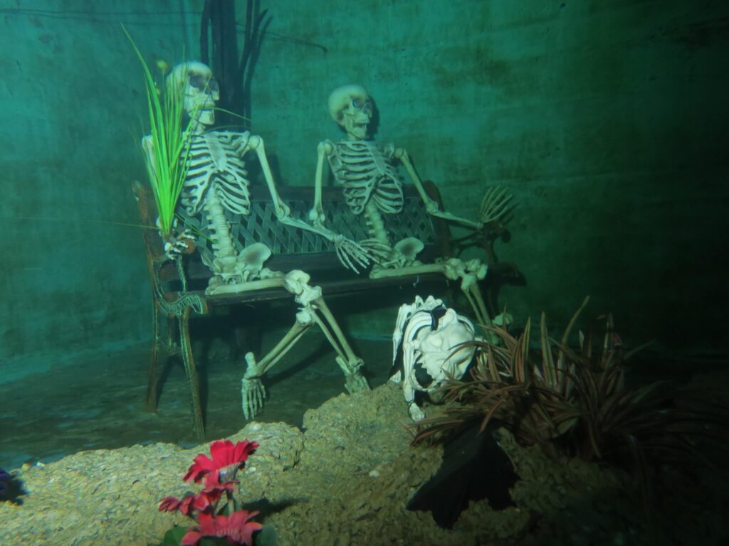 Skelett Pärchen Unterwasser auf einer Bank mit Pflanzen