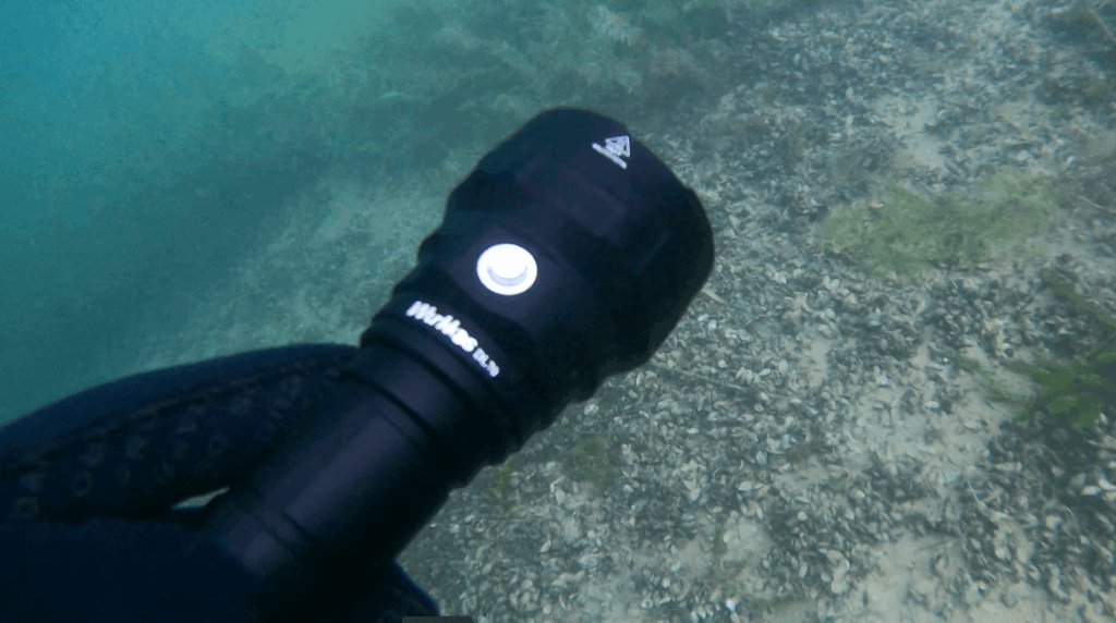 Tauchlampe wird in Nahaufnahme in der Hand gehalten