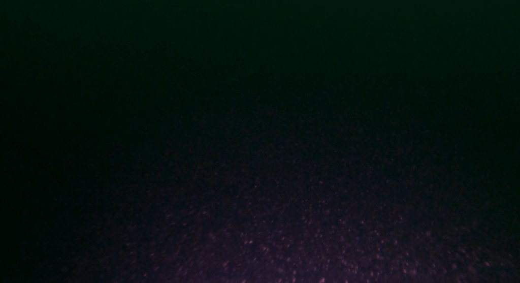Unterwasser Videolicht im Test bei schlechter Sicht in 30 Metern Tiefe