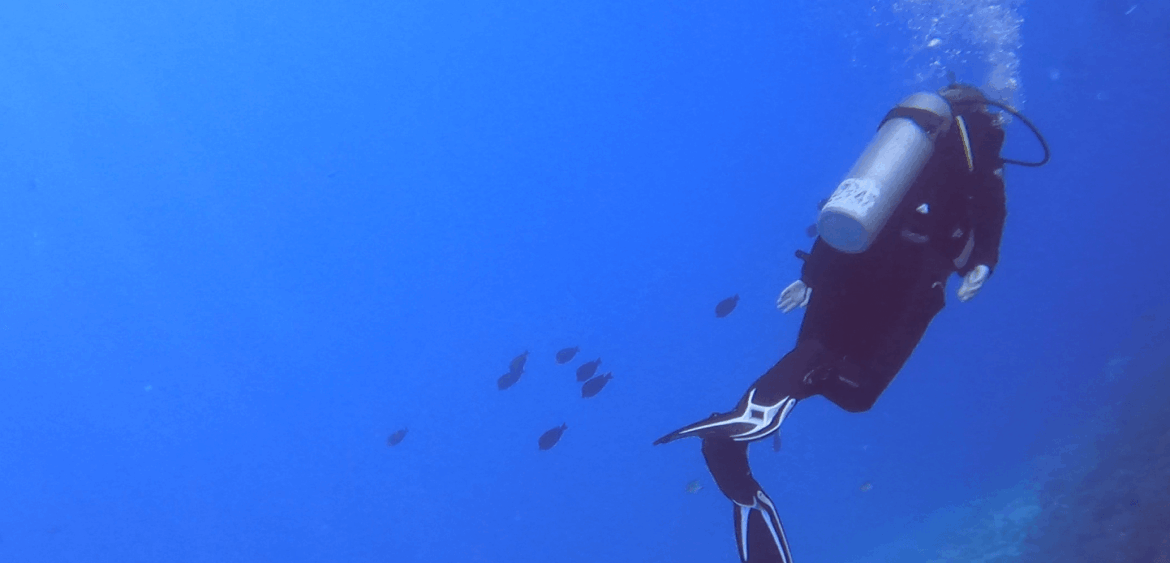 Taucher trägt einen Bleigurt mit einzelnem Bleiwährend er neben einem Riff taucht