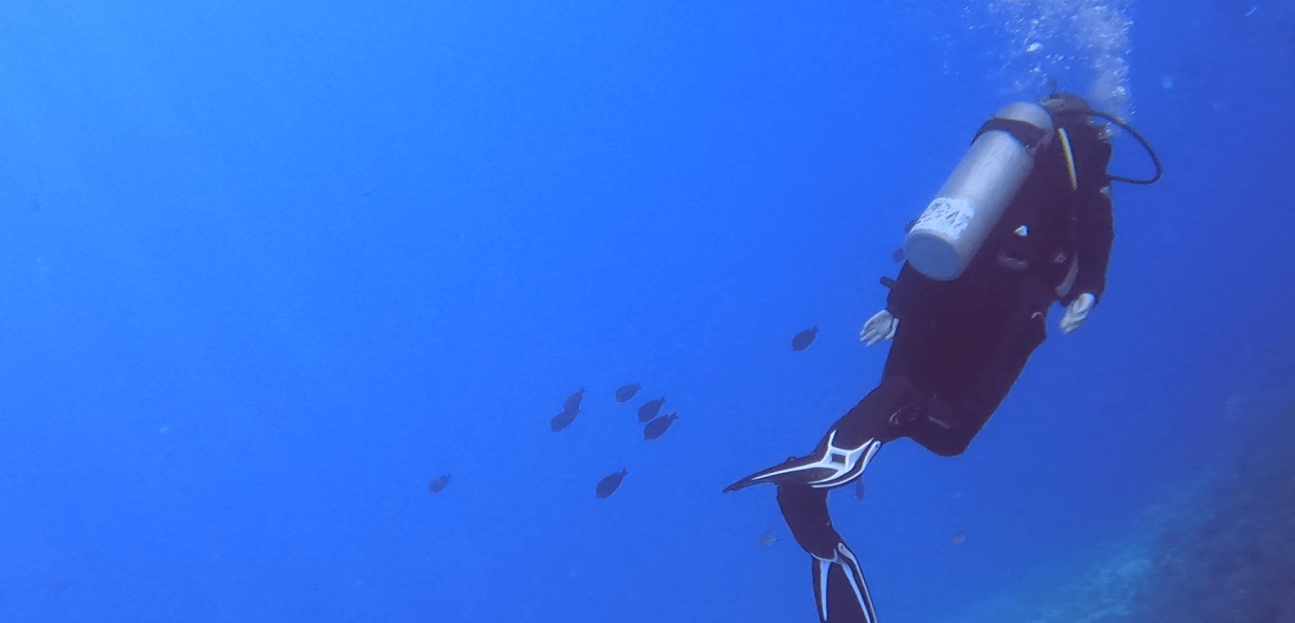 Taucher trägt einen Bleigurt mit einzelnem Bleiwährend er neben einem Riff taucht