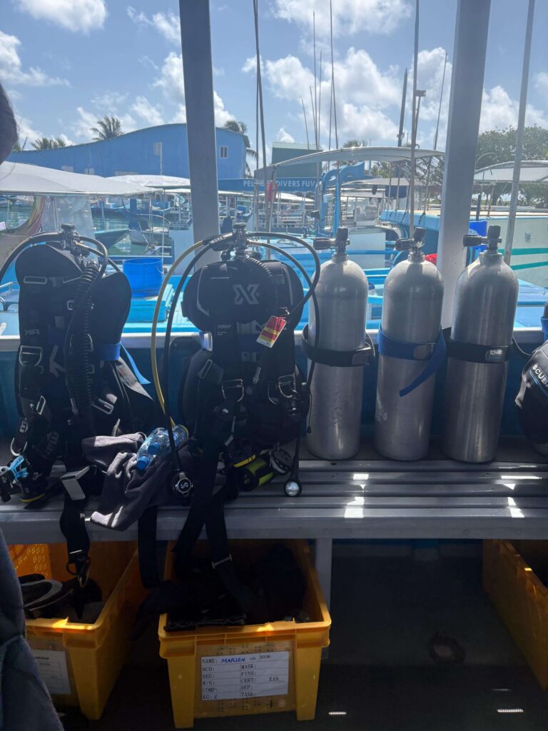 Zwei aufgebaute Backplate Wingsysteme auf einem Boot neben 3 freien Tauchflaschen