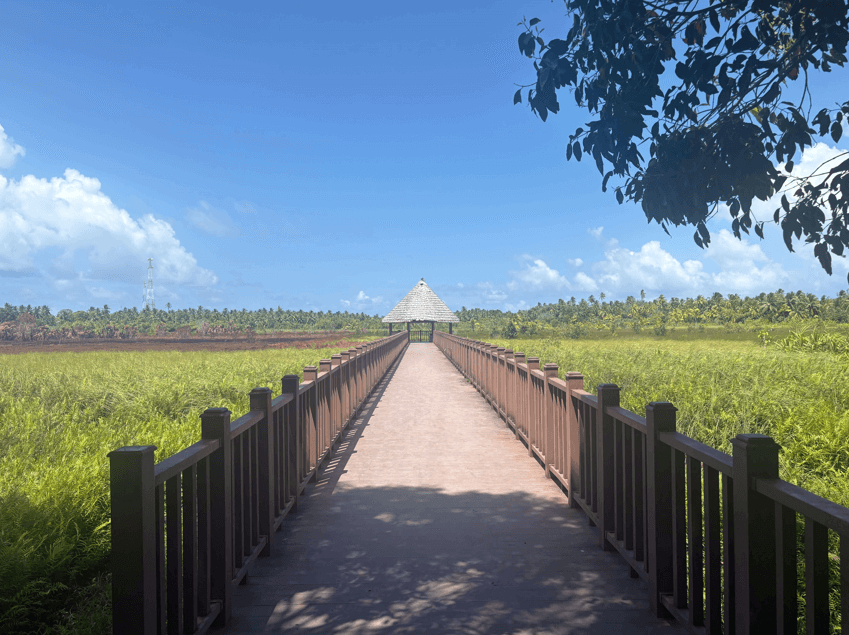 Steg mittem in der grünen Natür Fuvahmulahs