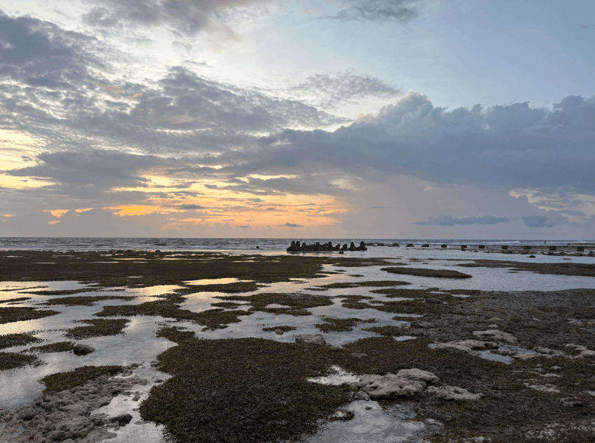 Sonnenuntergang am steinigen Strand