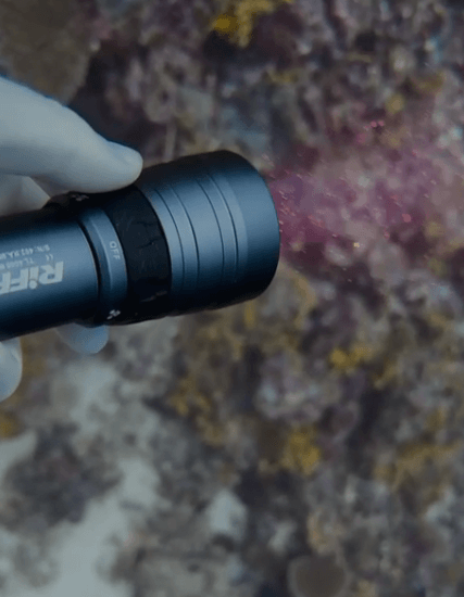 Unterwasseraufnahme Riff Tauchlampe TL 4000 angeschaltet vor Riff
