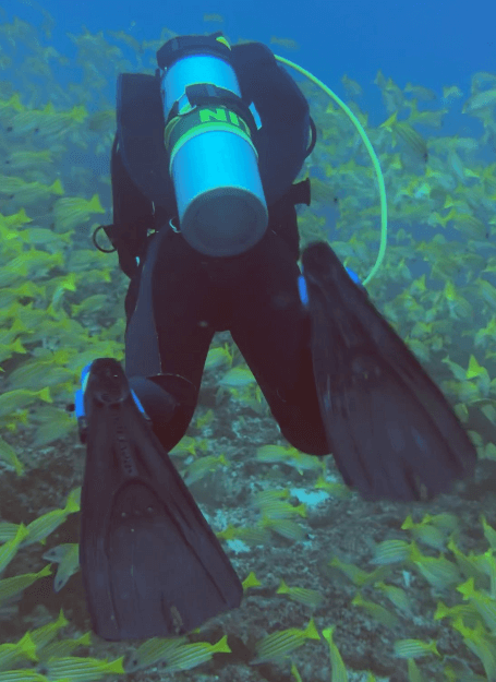 Taucher in Fischschwarm testet Scubapro Go Travel Flossen unterwasser