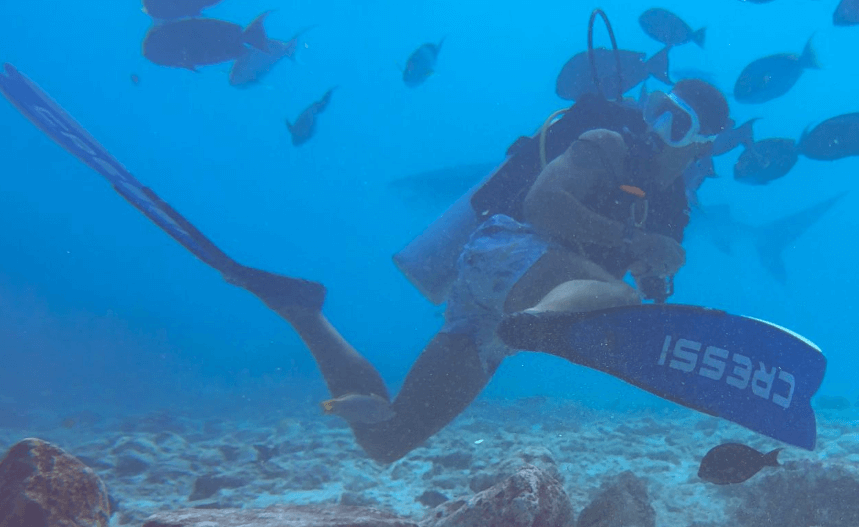 Taucher mit blauen Cressi Apnoe Flossen