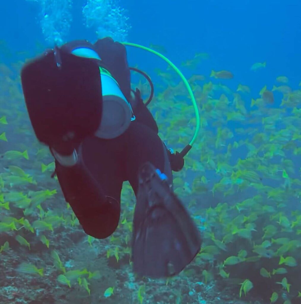 Taucher macht Flutter Kick mit schawrzen Flossen in einem Fischschwarm