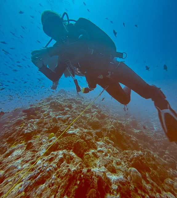 Taucher hängt an Riffhaken mit gelber Schnur über einem Riff