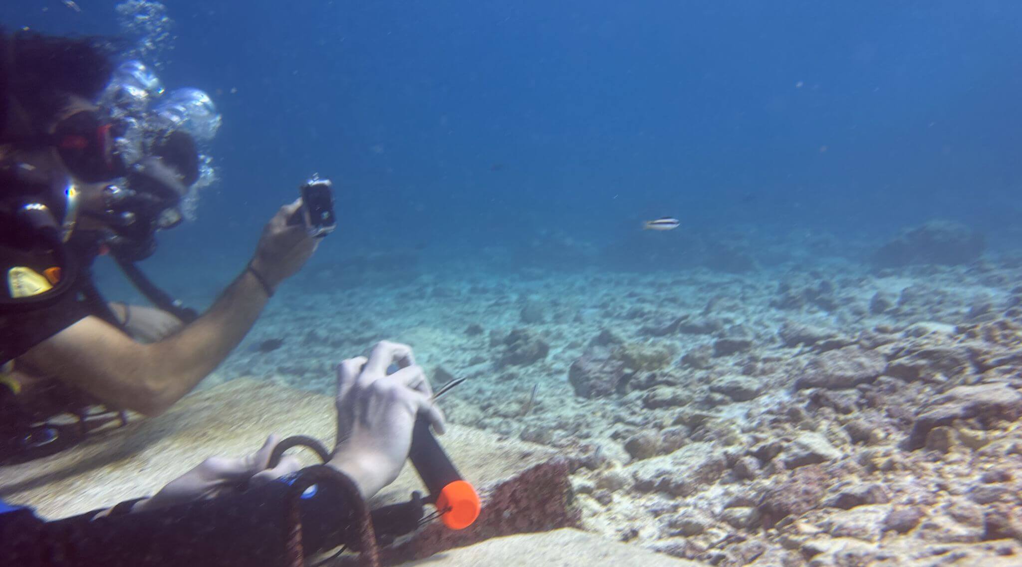 Taucher testet GoPro Unterwassergehäuse unterwasser