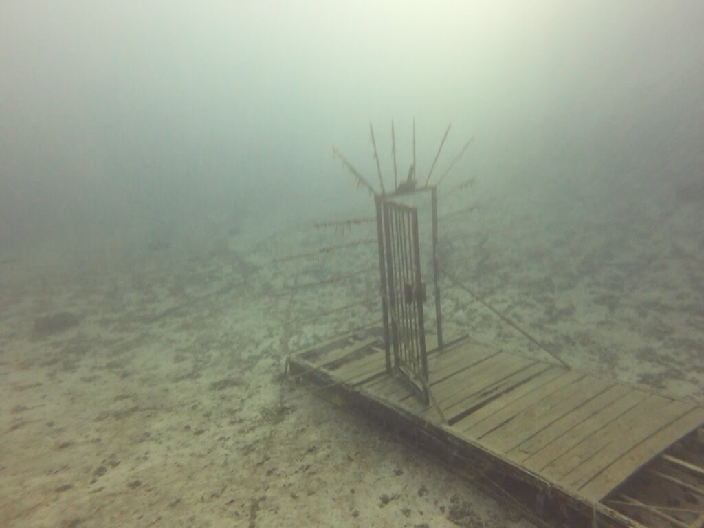 Unterwasseraufnahme mit der Sealife Micro 3.0 Türbogen im Kreidesee Hemoor