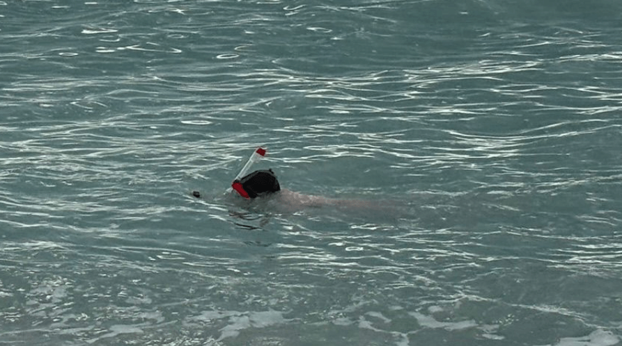 Schnorchler testet Area Reef Schnorchelmaske unterwasser an der Oberfläche