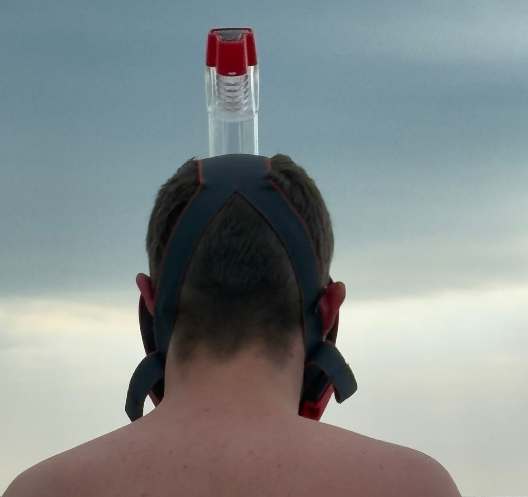 Kopf Hinterseite mit Bänder Befestigung Schnorchelmaske